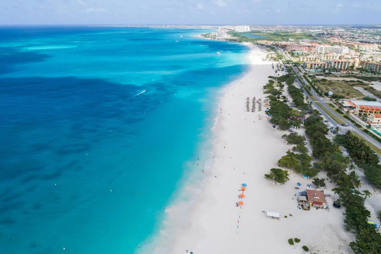 Pool Villajacuzzifree Utilities3Minpalm Beach Noord Aruba