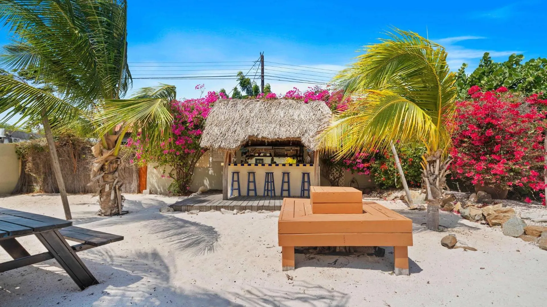 Pool Villajacuzzifree Utilities3Minpalm Beach Noord