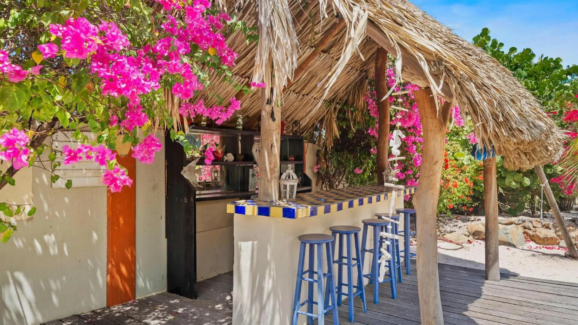 Pool Villajacuzzifree Utilities3Minpalm Beach Noord Villa