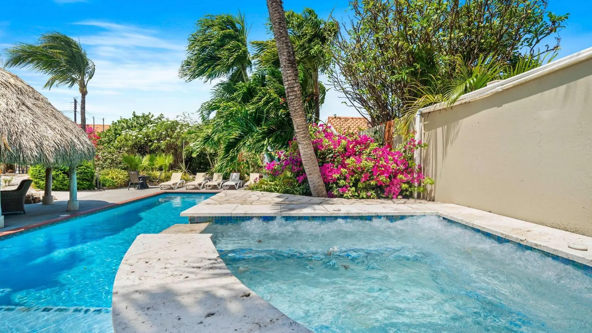 Pool Villajacuzzifree Utilities3Minpalm Beach Noord Aruba