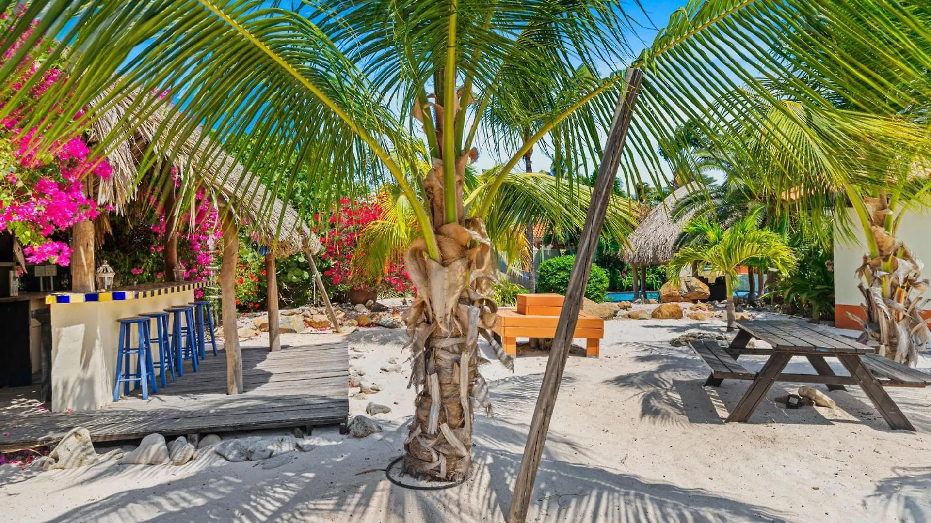 Pool Villajacuzzifree Utilities3Minpalm Beach Noord Aruba