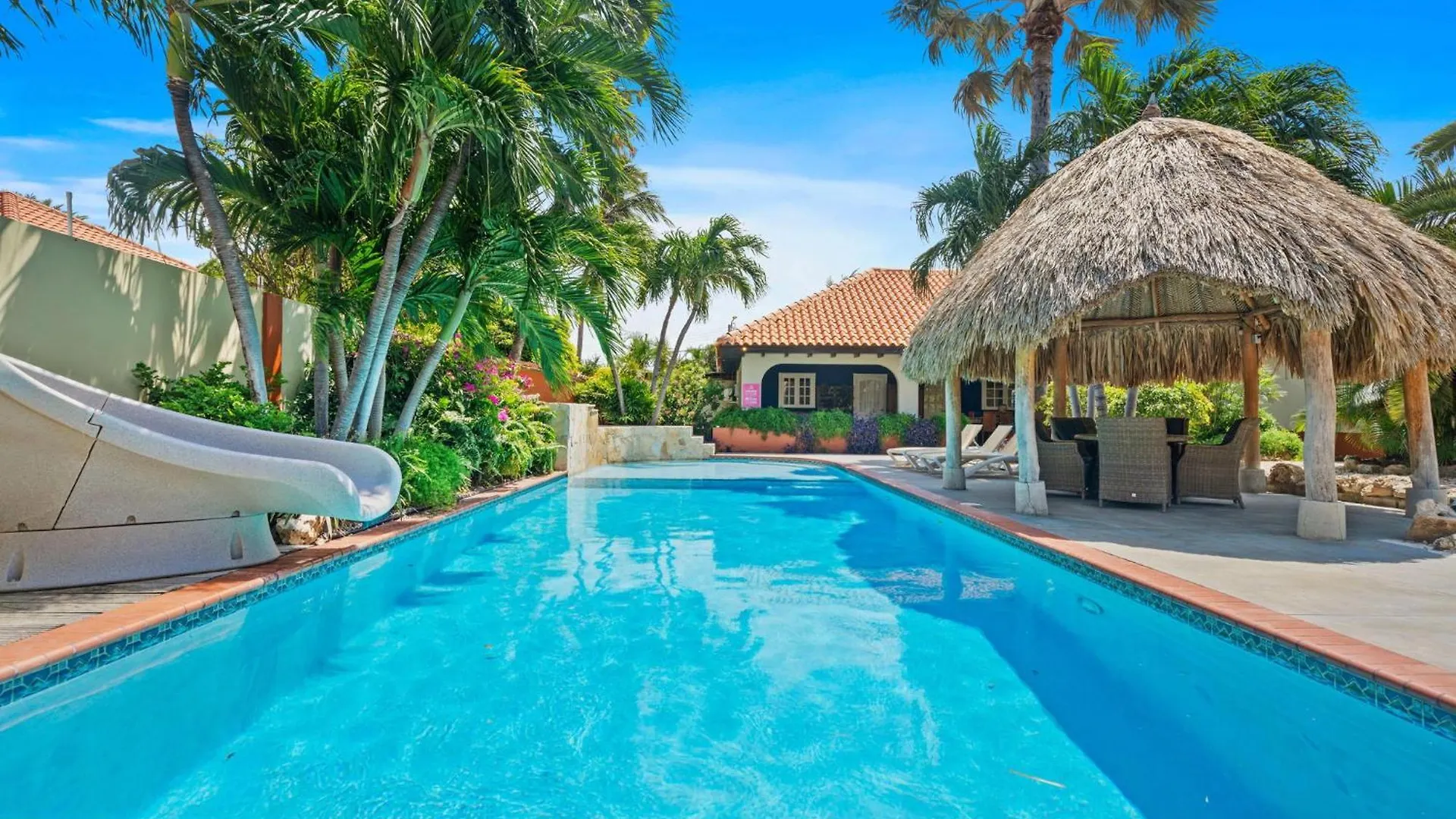 Pool Villajacuzzifree Utilities3Minpalm Beach Noord